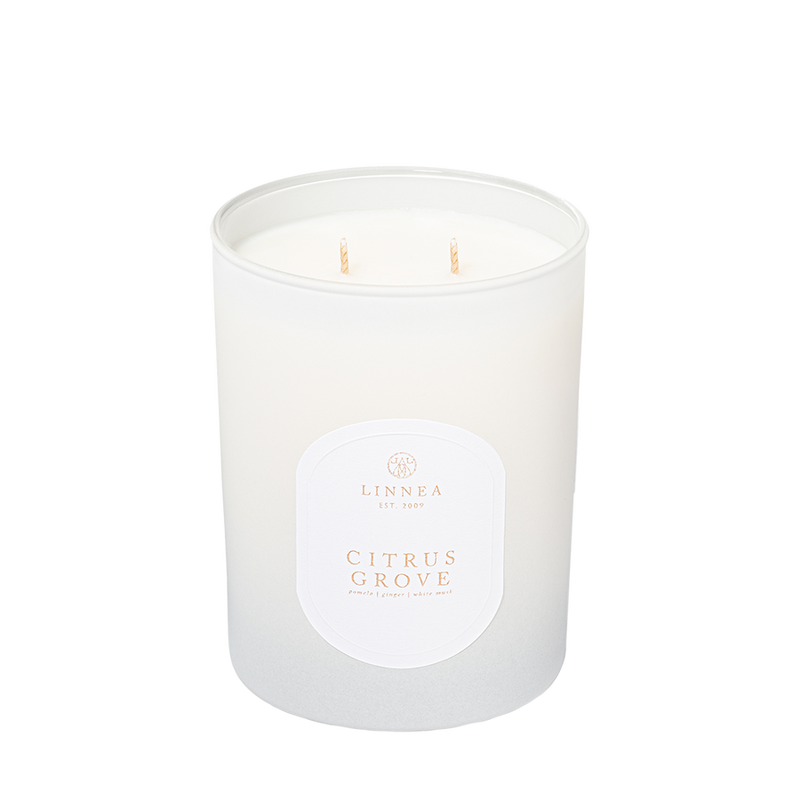 Citrus Grove 2 Wick Candle