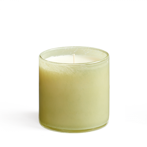 Wild Honeysuckle Candle 15.5 oz